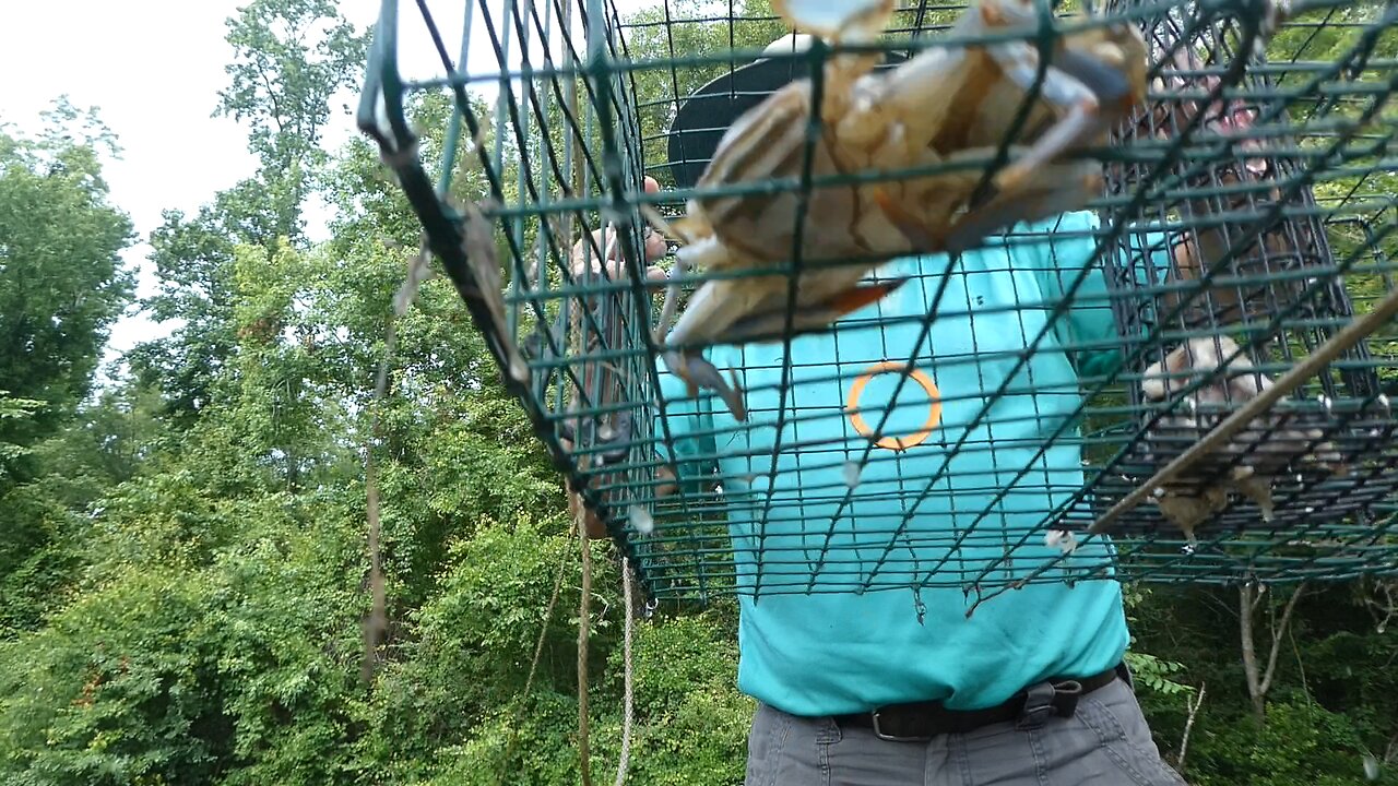 FATHERS DAY (Crabbing for dinner)