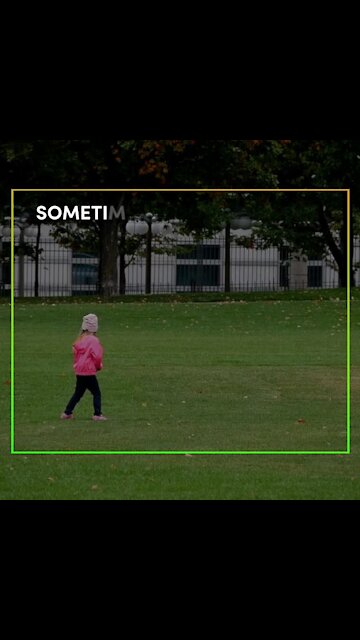 My babies are back [GMG Originals]