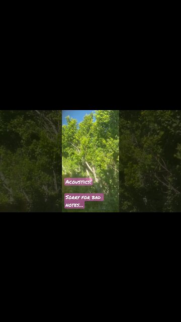 Cleaning old apartment and so done… but great acoustics 😂