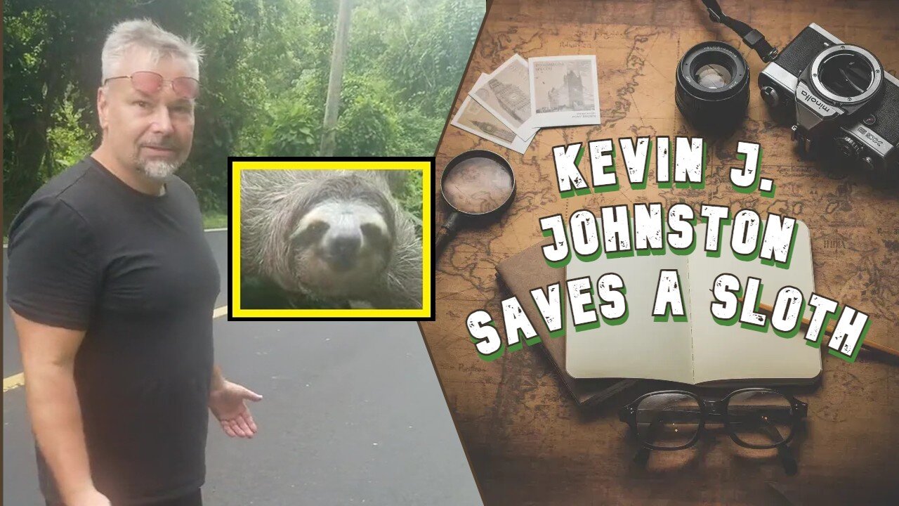 Kevin J. Johnston SAVES A SLOTH !