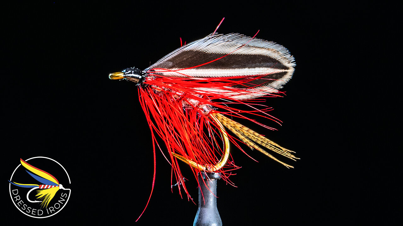 Tying the Lady Gray wet Fly