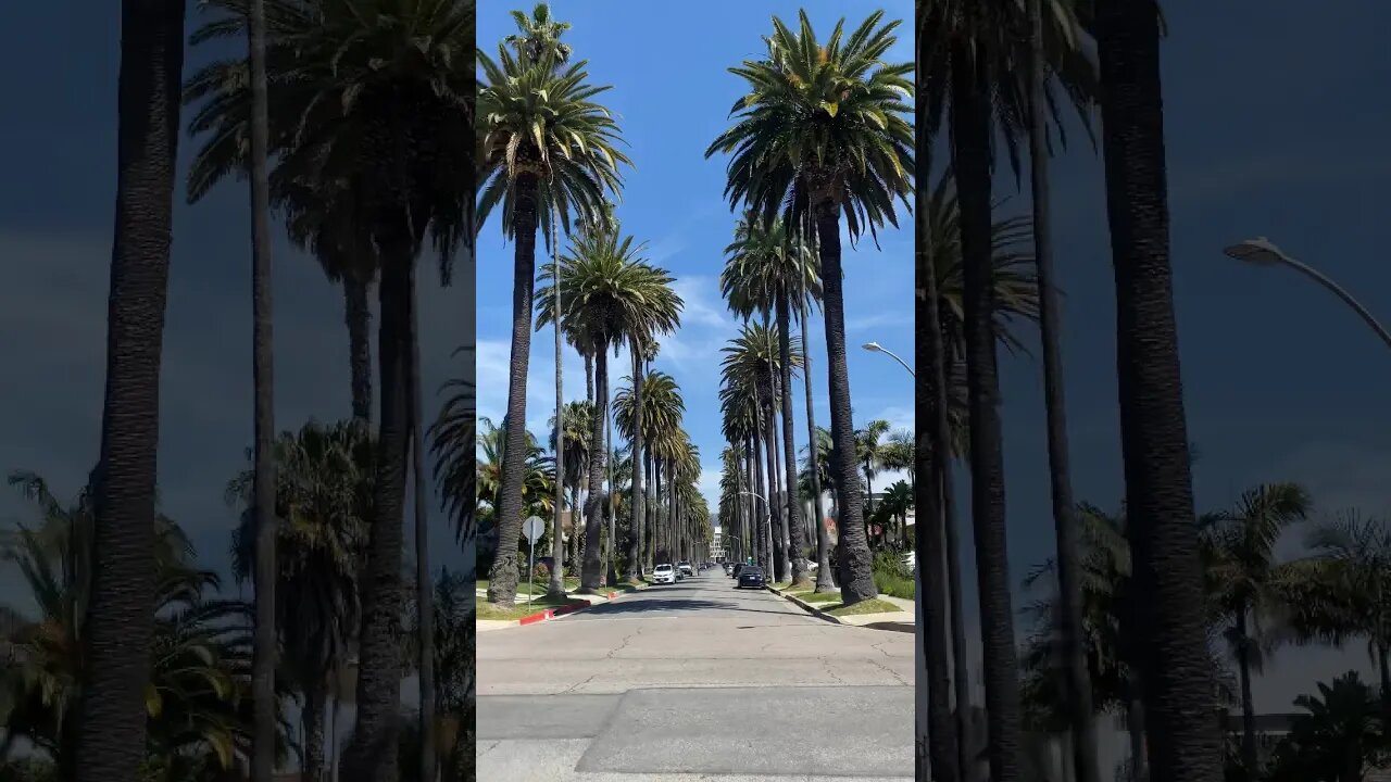 Stroll through Beverly Hills and Watch + Compass