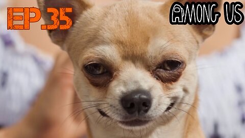 TailslyMoxPlays Among Us[Ep.35]easy to find imposter