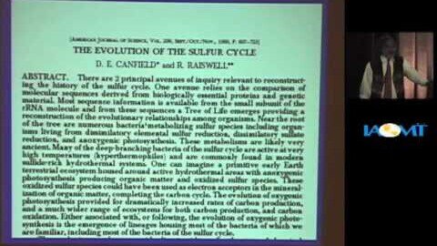 Mercury-induced Vascular Impairments and Disease