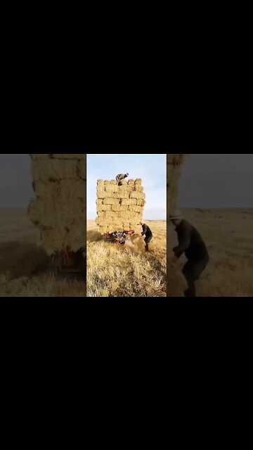 Satisfying video Beautiful Nature