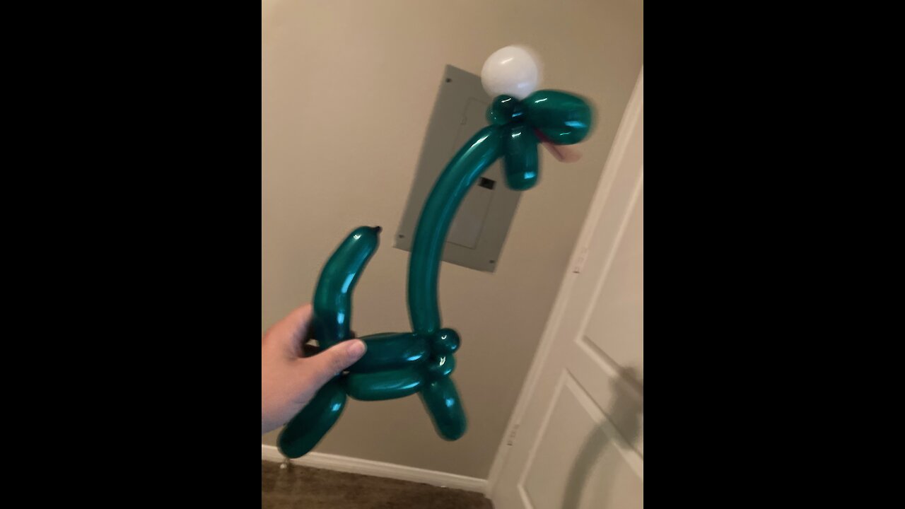 Brontosaurus dinosaur balloon twisting tutorial