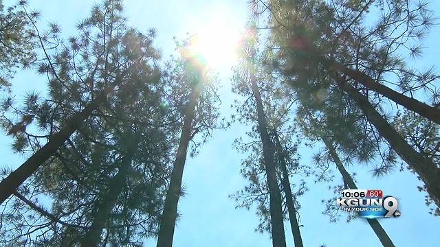 Public invited to discuss fee changes for Coronado National Forest