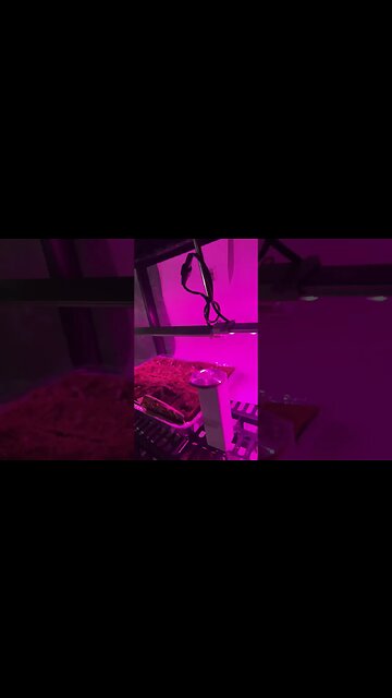 Organizing my new greenhouse