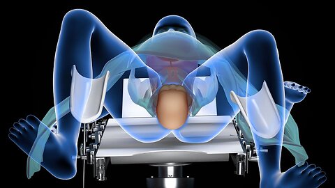 Vaginal birth 3d Representation 🤰