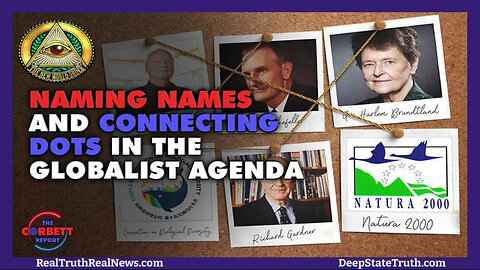 🌎 Dr. Meryl Nass is Naming Names and Connecting the Dots in the Globalist/New World Order Agenda ☆ Links 👇