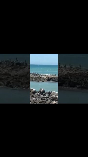 #relaxation #relax#reels #soothing #soothingrelaxation #vacation #short #viral #sleep #calm #calming