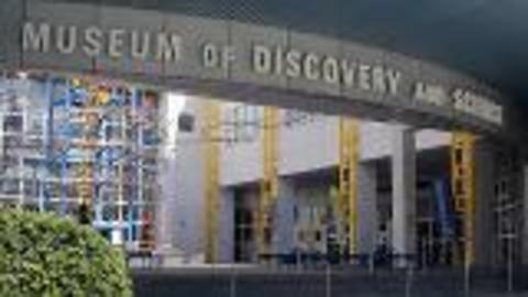 Discover the Ft. Lauderdale Museum of Discovery and Science