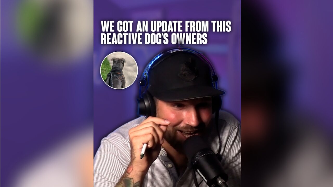 We got an amazing update from this reactive dog’s owners!