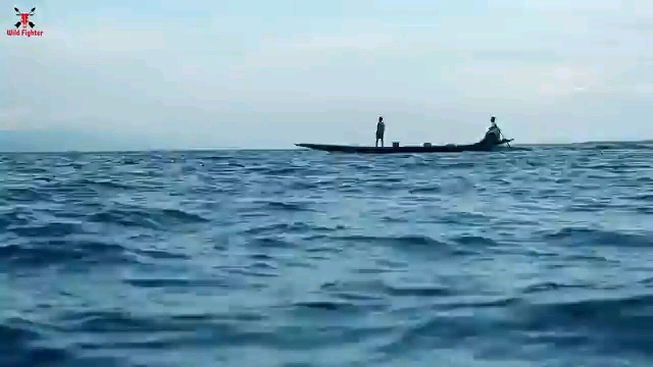 the shark attack