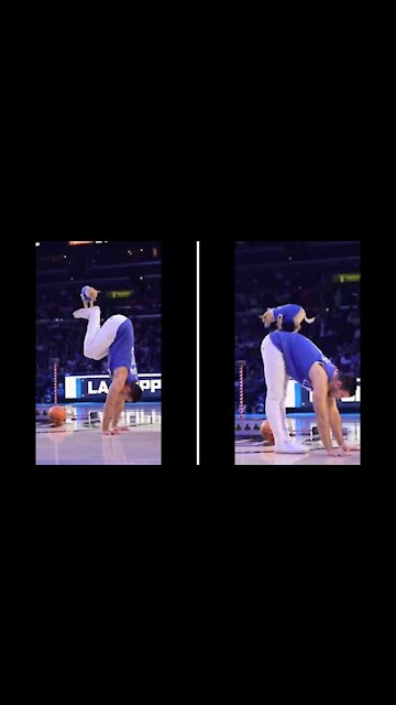 adorably puppy performed very well during circus