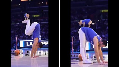 adorably puppy performed very well during circus