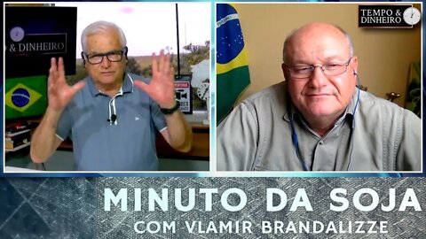 Soja começando semana de Feriadão nos EUA