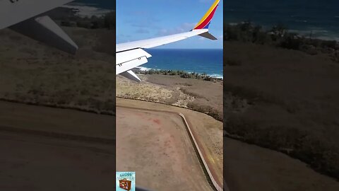 Cu gandul la vara!