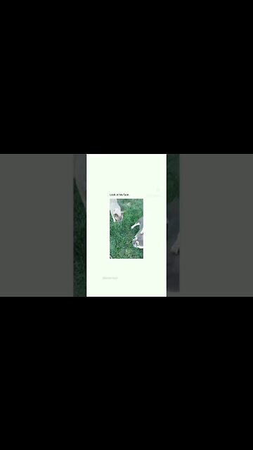 Why he look like that