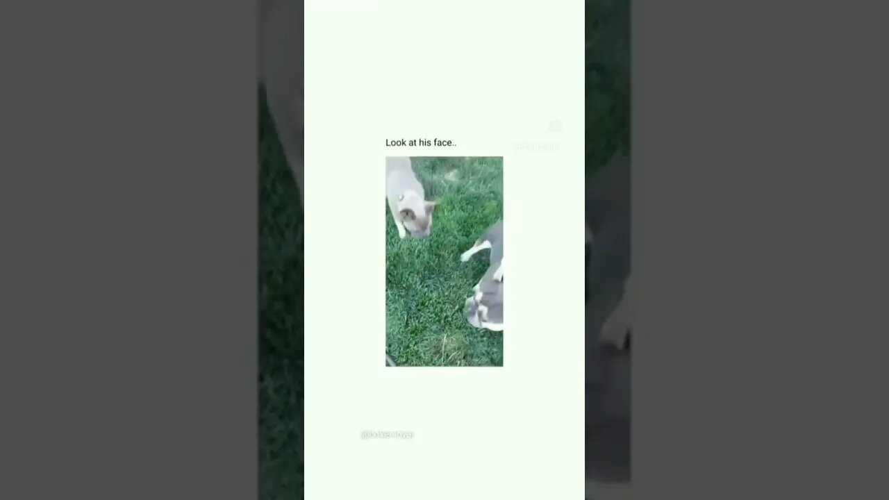 Why he look like that