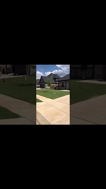 2 Weeks After Sand on the Lawn