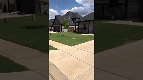 2 Weeks After Sand on the Lawn