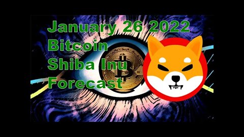 Bitcoin / Shiba Inu prediction, Jan, Feb and the rest of 2022