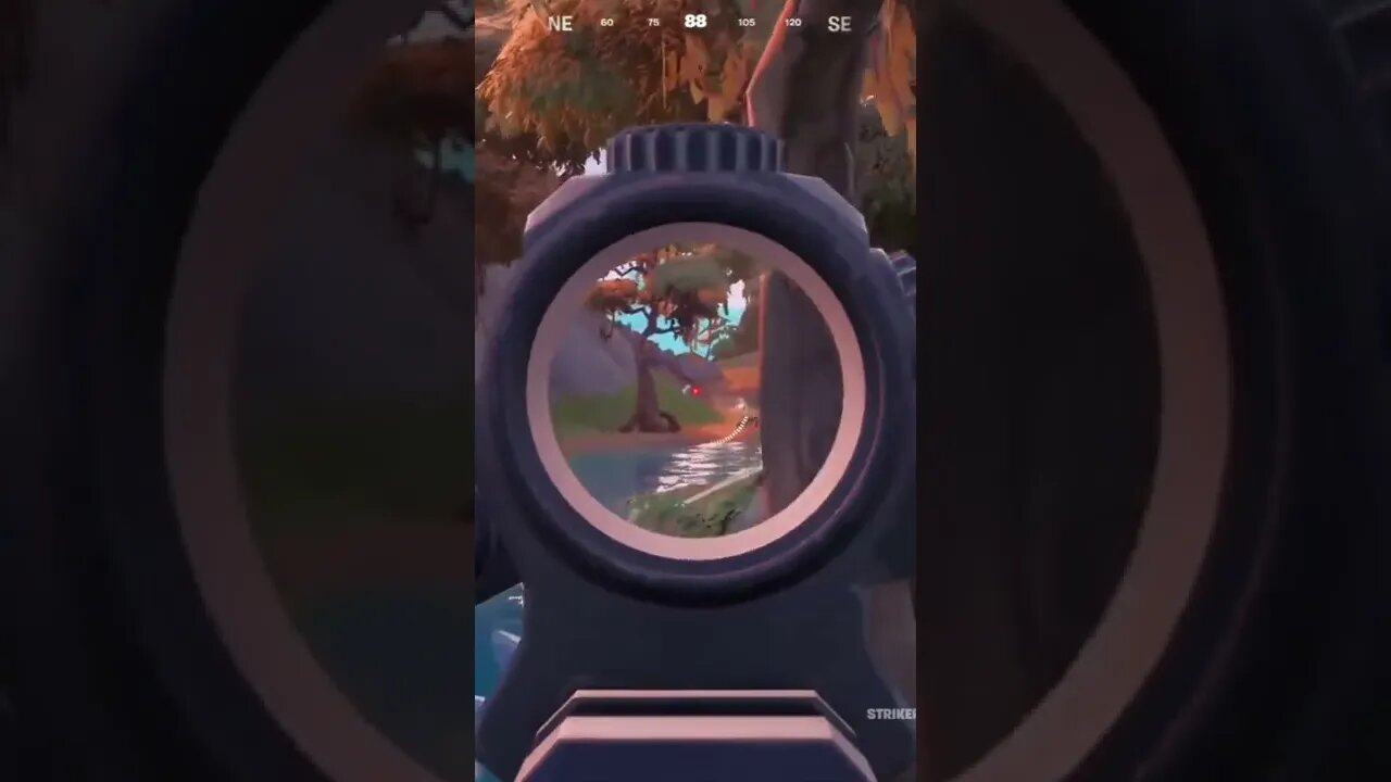Bounty Long Shot #fortnite #fortnitebattleroyale