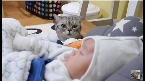 Cat meeting babies for the FIRST TIME A