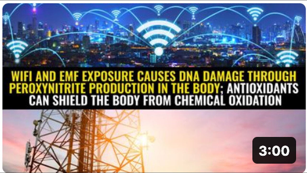 WiFi and EMF exposure causes DNA damage through peroxynitrite production in the body