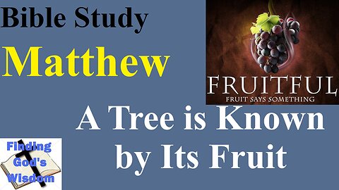 Bible Study - Matthew: A Tree Is Known by Its Fruit