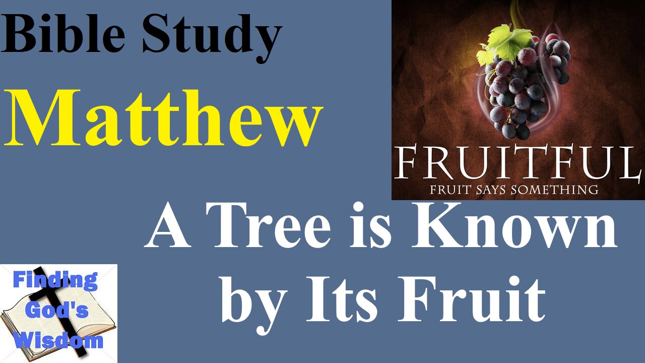 Bible Study - Matthew: A Tree Is Known by Its Fruit