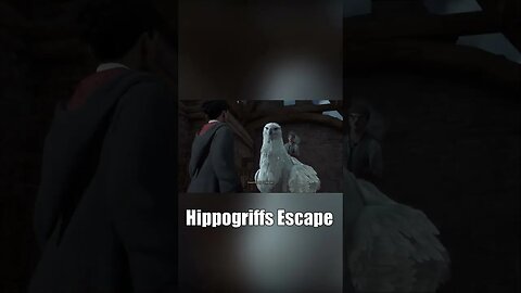 Hippogriff Escape #shorts