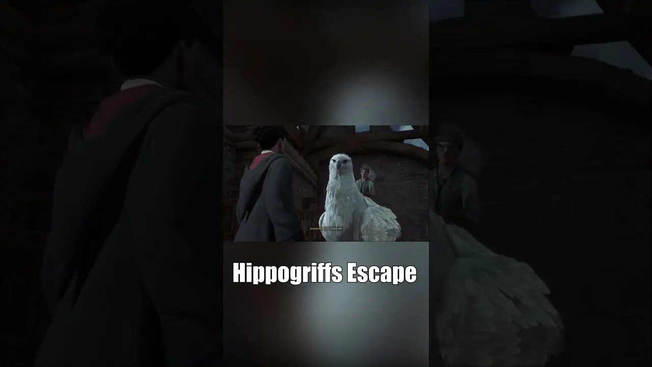 Hippogriff Escape #shorts
