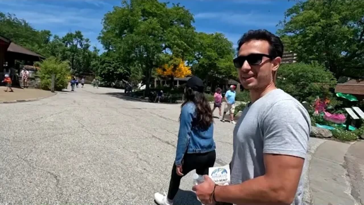 Hungry giraffes at the Cleveland Zoo