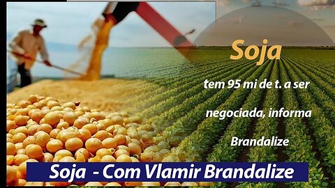 Soja tem 95 mi de t. a ser negociada, informa Brandalize