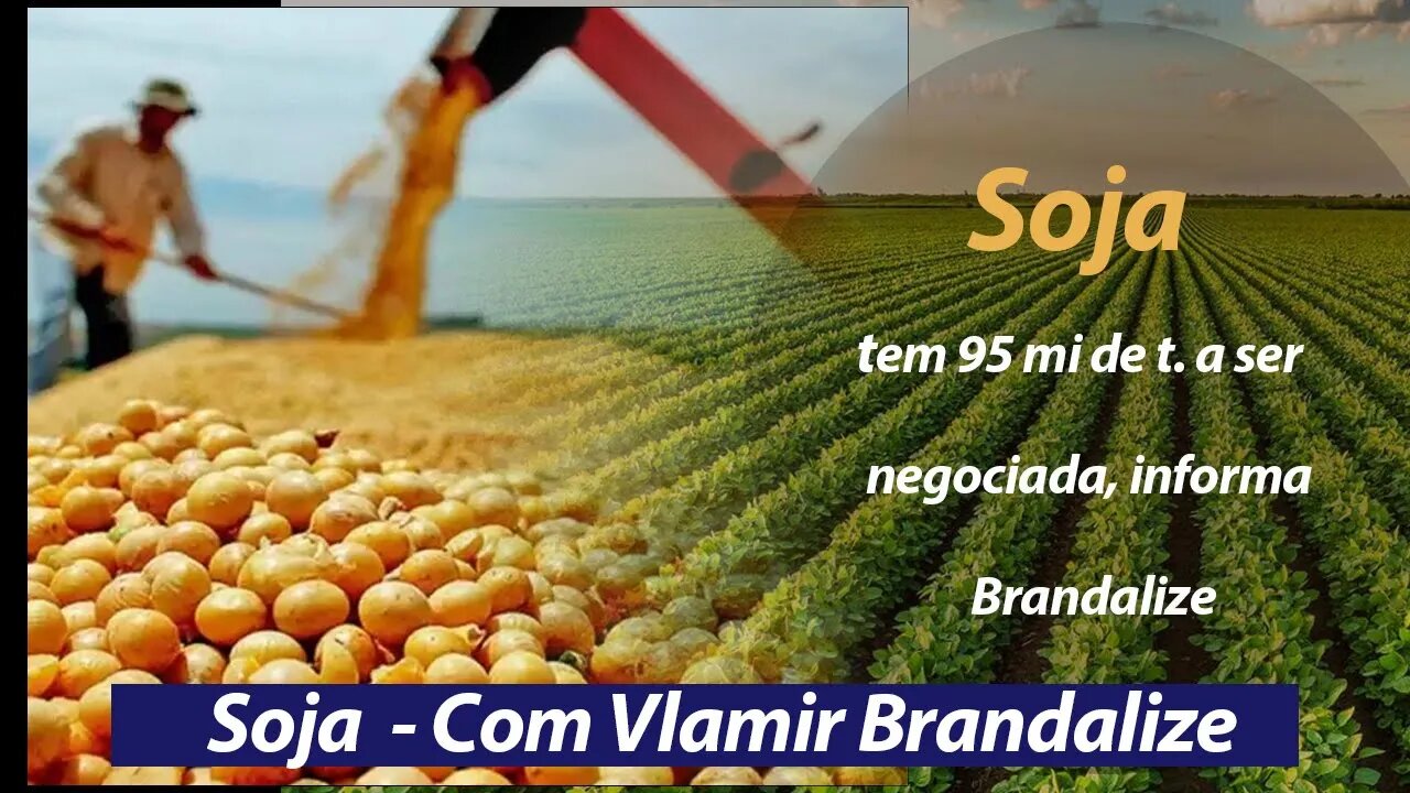 Soja tem 95 mi de t. a ser negociada, informa Brandalize