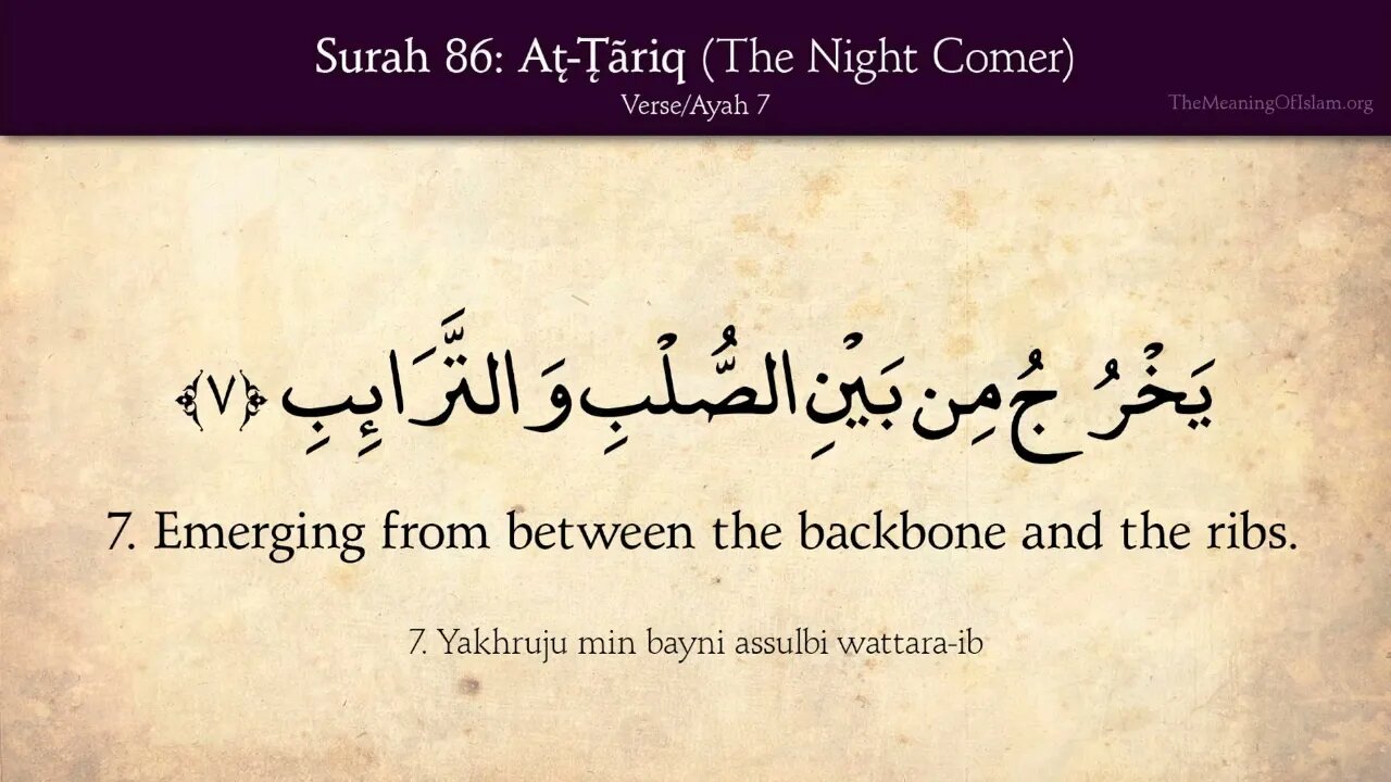 Chapter 86 - At Tariq - The Nightcommer