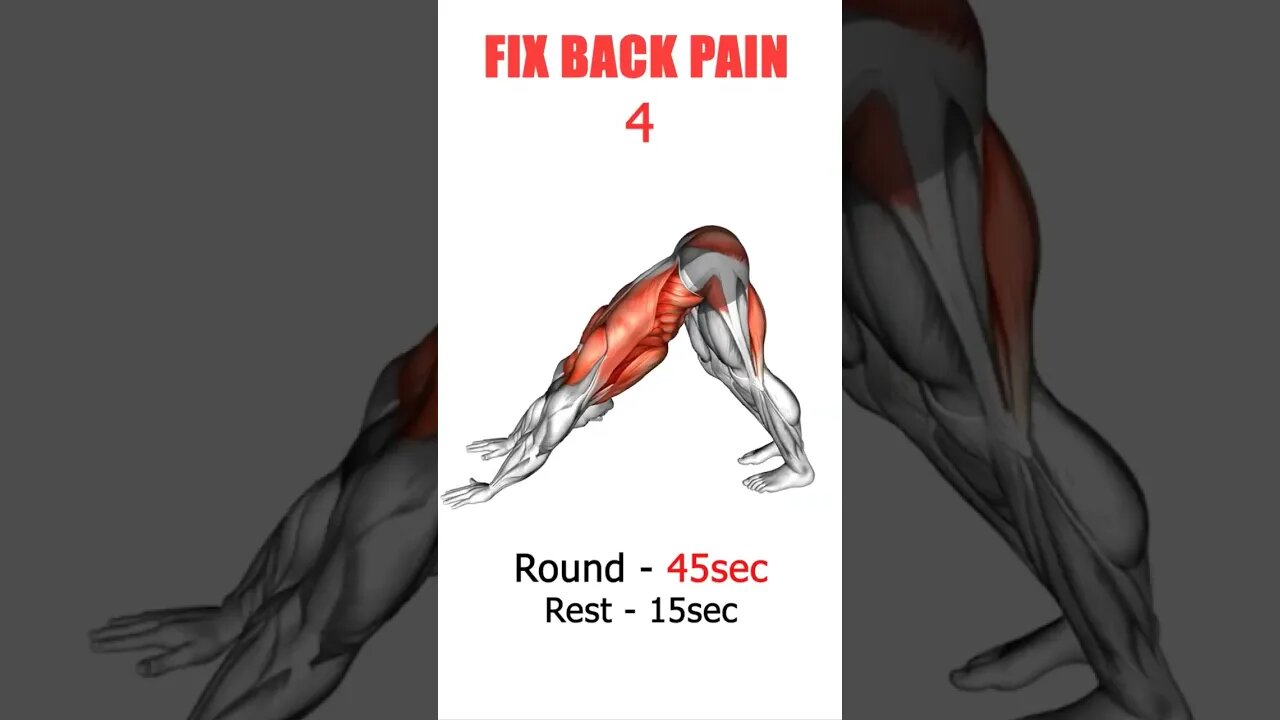 Fix Lower Back Pain #shorts #short #lowerbackpain #healthprotips