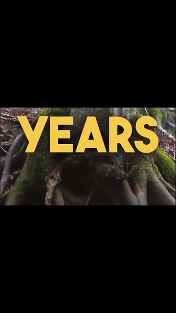 Very Thought Provoking Truth About Time, Life & Death - Perspective Is EVERYTHING