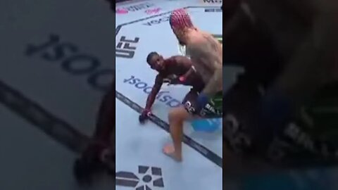 SUGA SEAN O'MALLEY Defeats ALJAMAIN STERLING To Become CHAMPION! #shorts #ufc #ufc292