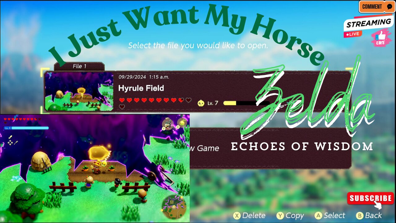 Zelda Echoes of Wisdom: where's my horse