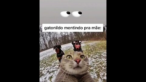 CACHONILDO E CACHOBROTONILDO