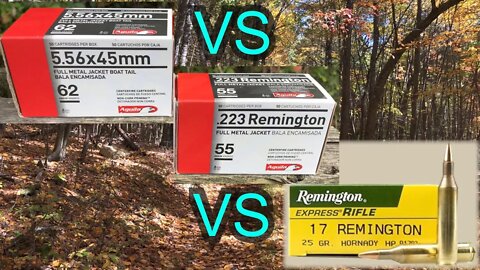 223 VS 5.56, VS 17 Remington-A Practical Comparison in Gel