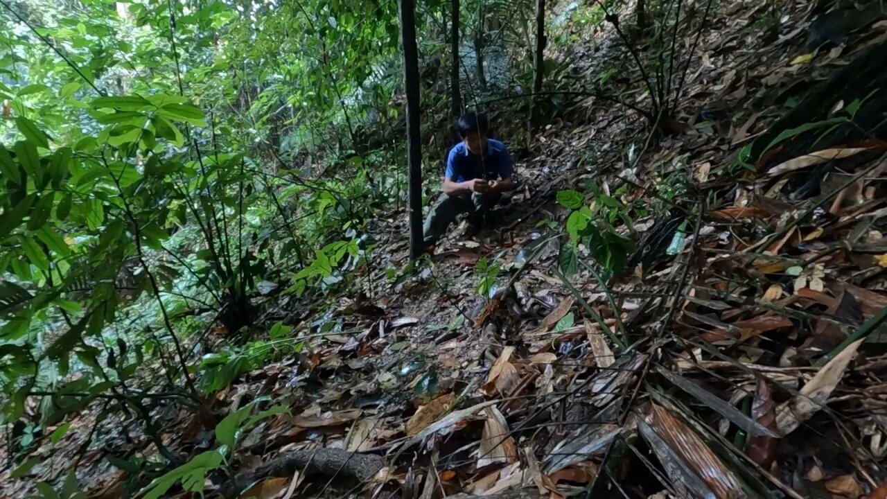 Building a bamboo shelter on a rock face:7