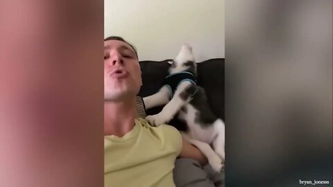 Laugh hard NOW with Funniest Moments Dog and their Human!