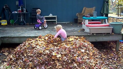 Fall Is Here