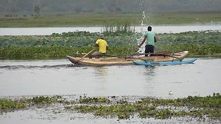 Catching Fish By Using The Net-Net Fishing In lake