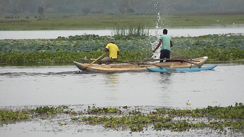 Catching Fish By Using The Net-Net Fishing In lake