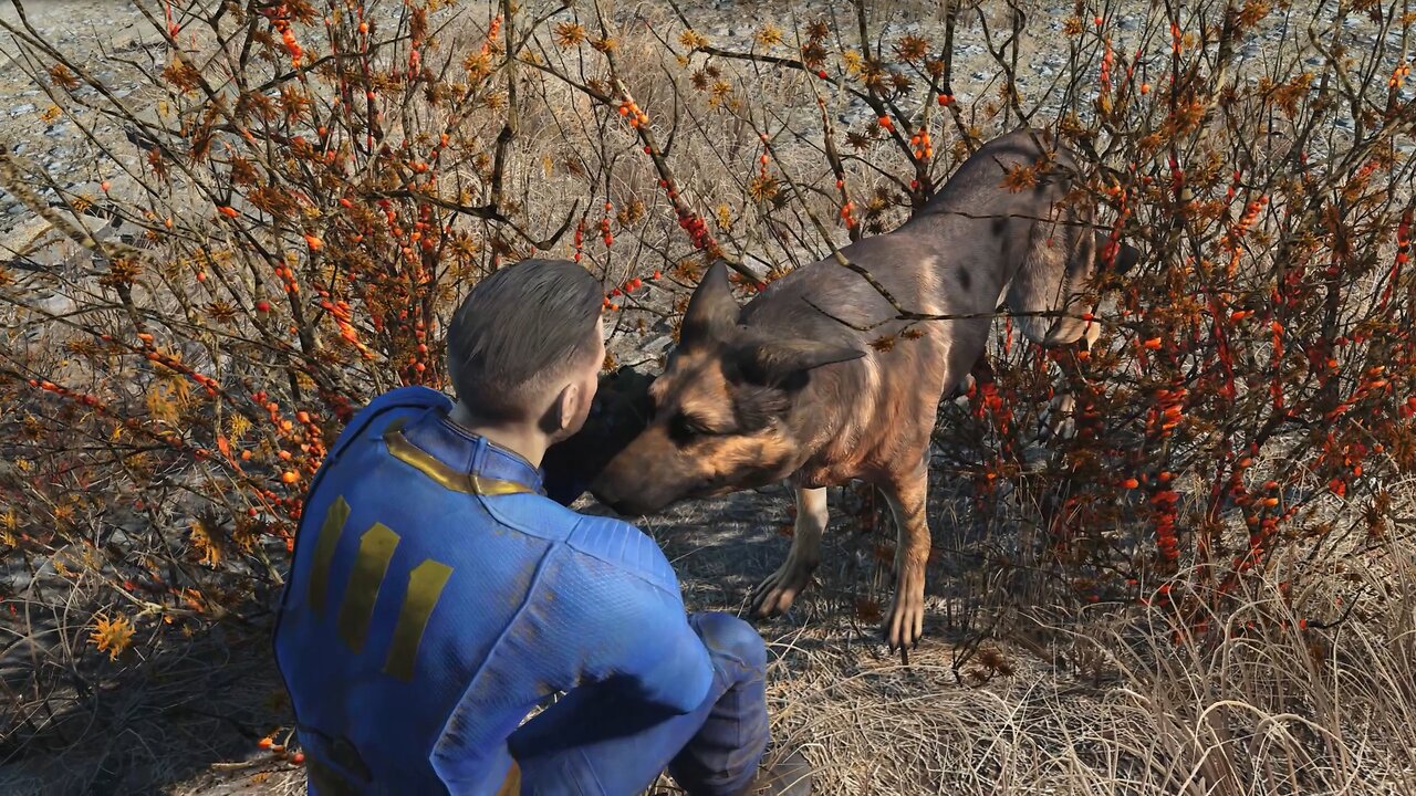 I met a friendly dog at the Red Rocket (Fallout 4)